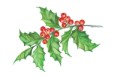 Merry Christmas postcard. Happy New Year. Vector illustration